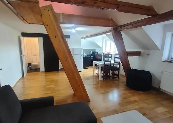Symbiola River Apartament Decin