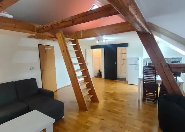 Symbiola River Apartament