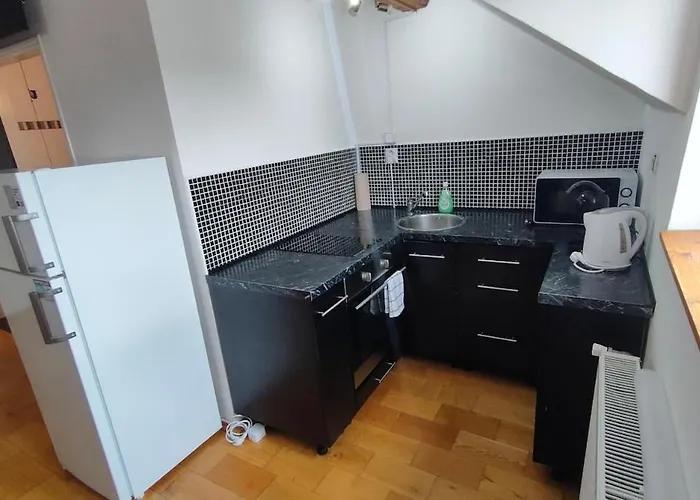 Symbiola River Apartament