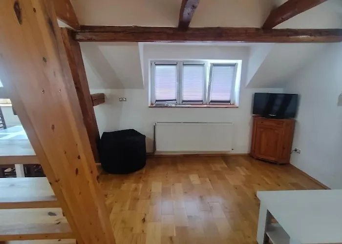Apartament Symbiola River Decin